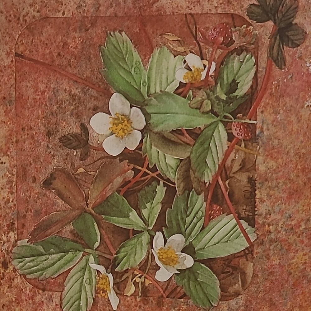 VIVIAN THIERFELDER VINTAGE FLORAL ART PRINTS, Unframed - Picture 10 of 16